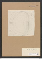 Campylodiscus limbatus Breb. (de-Toni-Nr.: Genus 57, Species 2509) Zeichnungen Sammlung Grunow Nr. 5017 (NHMW-BOT-W0373270)